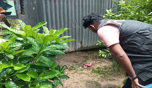 ফরিদপুরের কানাইপুরে ফুল বাগানে মিললো দু'টি ককটেল বোমা