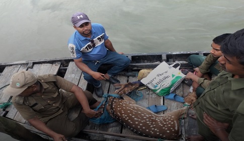 শ্যামনগরের তালবাড়িয়া গ্রাম থেকে জীবিত হরিণ উদ্ধার
