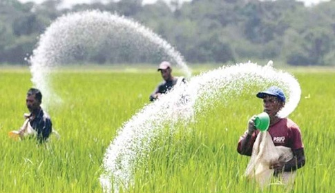 ৫৪৮ কোটি ৫৪ লাখ টাকার সার কিনবে সরকার