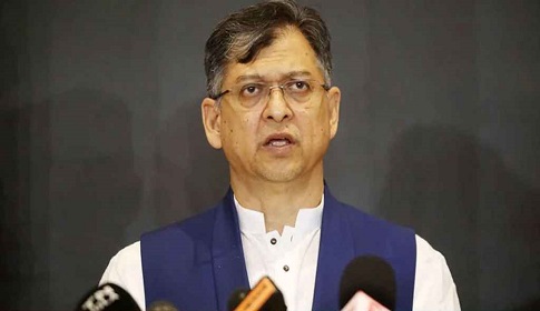 বিএনপি মধ্যপন্থি দল: সালাহউদ্দি