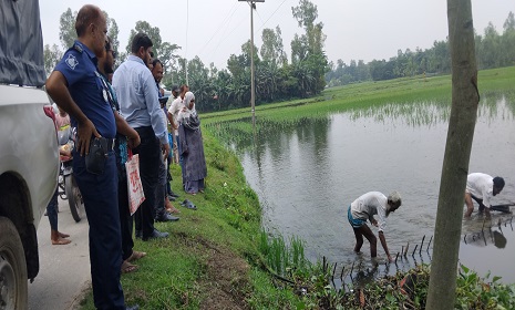 পলাশবাড়ীতে দেশীয় মাছ রক্ষায় ভ্রাম্যমাণ আদালতের অভিযান