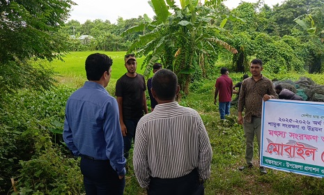 সালথায় বিপুল পরিমাণ চায়না দুয়ারী জাল জব্দ