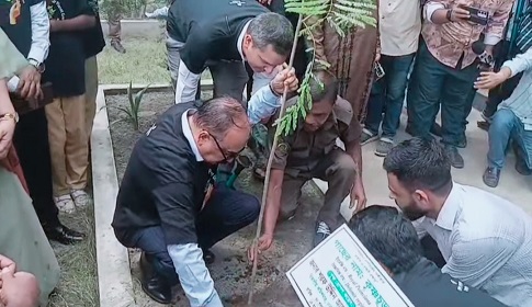 ‘গাছ যদি না বাঁচে তাহলে আমরা বাঁচবো না’