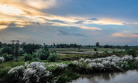 শরৎ