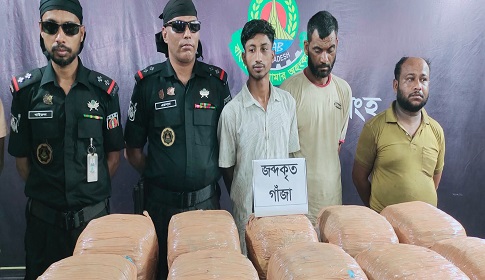 ৪৯ কেজি গাঁজাসহ ৩ মাদক কারবারি গ্রেপ্তার 