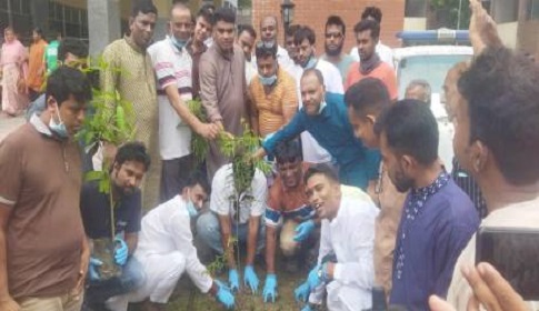 রাজবাড়ীতে স্বেচ্ছাসেবক দলের পরিষ্কার পরিচ্ছন্নতা অভিযান ও বৃক্ষরোপণ কর্মসূচি পালন 