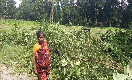কালিগঞ্জে  হিন্দু সম্পত্তি জবরদখলের মহোৎসব, পুলিশের ভূমিকা প্রশ্নবিদ্ধ