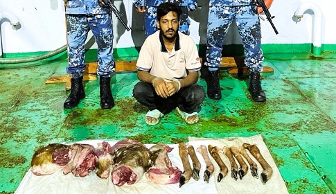 সাড়ে ১০ কেজি হরিণের মাংসসহ শিকারী আটক
