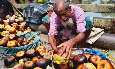 নড়াইলের হাটবাজারে পাকা তালের সমারোহ, তবে দাম বেশি
