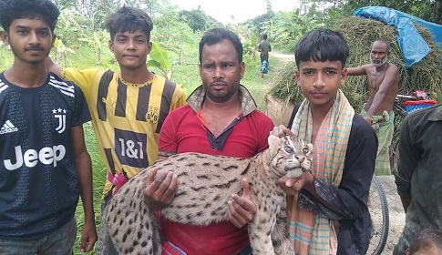 অথর্ব প্রশাসনে বাড়ছে বন্য ও জলজ প্রাণী হত্যা