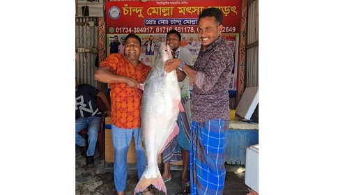 পদ্মার এক পাঙাশ ৬৭ হাজার টাকায় বিক্রি 