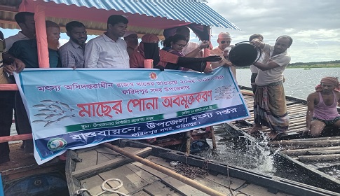 ফরিদপুরের চাপাই বিলে ২৪০ কেজি মাছের পোনা অবমুক্ত