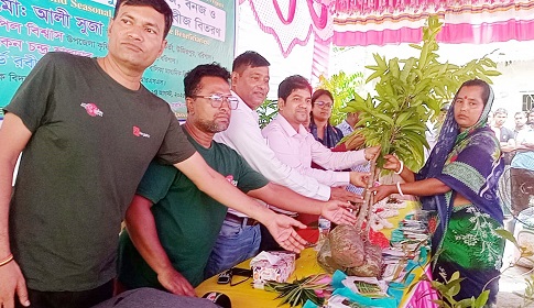 জলবায়ু পরিবর্তন মোকাবেলার সমাধানে বৃক্ষরোপণ