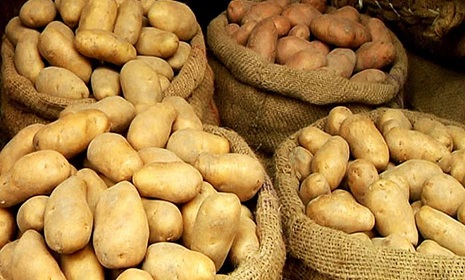 আলুর সর্বনিম্ন দাম বেঁধে দিলো সরকার