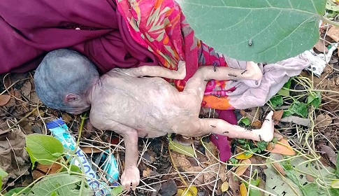 বাগেরহাটে মহাসড়কের পাশ থেকে নবজাতকের মরদেহ উদ্ধার