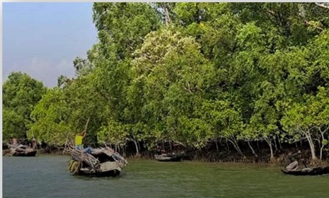 আড়াই লাখ টাকা মুক্তিপণ দিয়ে লোকালয়ে ফিরলেন সাত জেলে