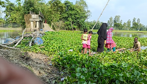 ৮ বছরেও কুড়িগ্রামে বিধবস্ত ব্রিজের সংস্কার নেই, কলা গাছের ভেলাই সম্বল