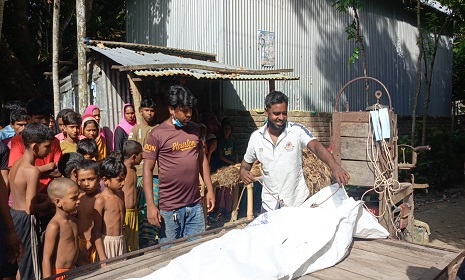 পারিবারিক কলহের জেরে স্ত্রীকে পিটিয়ে হত্যা, স্বামী আটক