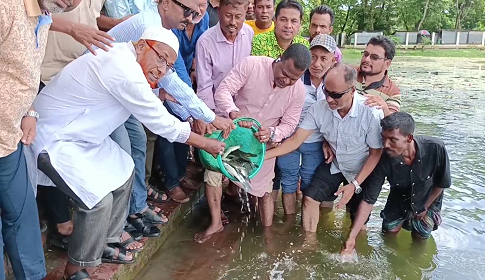 বাগেরহাটের ঘোড়াদীঘিতে ১৪ মণ মাছের পোনা অবমুক্ত করলো বিএনপি