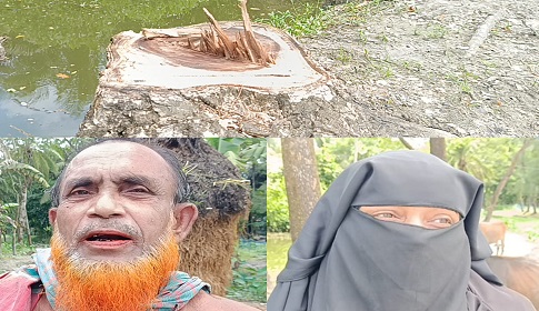 সুবর্ণচরে পাহারাদার হিসেবে থাকতে দেয়ায় বাড়ী দখলের অভিযোগ