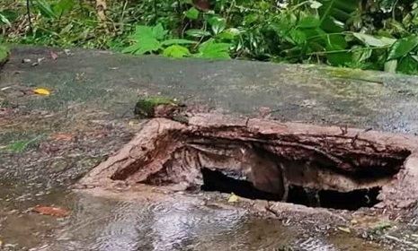সেপটিক ট্যাংকে মিলল শিশু জুনায়েদের মরদেহ