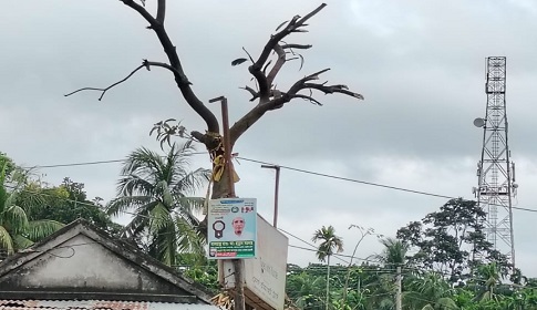 নড়াইলে পাখির আবাসস্থল নষ্ট করার অভিযোগে ব্যবসায়ীকে জরিমানা