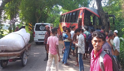 ডাসারে দুটি বাসের মুখোমুখি সংঘর্ষে আহত ১৫