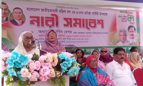 ‘বিএনপি ক্ষমতায় গেলে নারীদের জন্য ফ্যামিলি কার্ড চালু করবে’