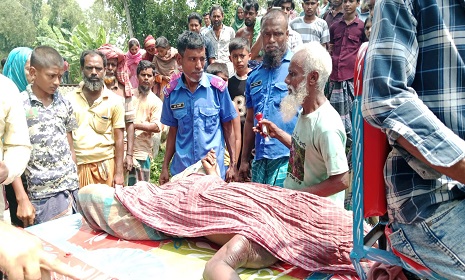 বোয়ালমারীতে রেলওয়ের গাছ কাটতে গিয়ে চাপা পড়ে শ্রমিকের মৃত্যু