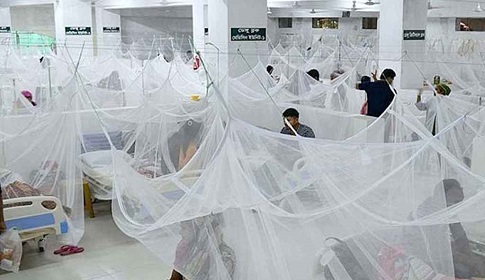 ডেঙ্গুতে আরও ৩ জনের মৃত্যু, হাসপাতালে ৬৮৫