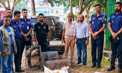 নড়াইলে নিরিবিলি পিকনিক স্পট থেকে ২৫ বন্যপ্রাণী উদ্ধার