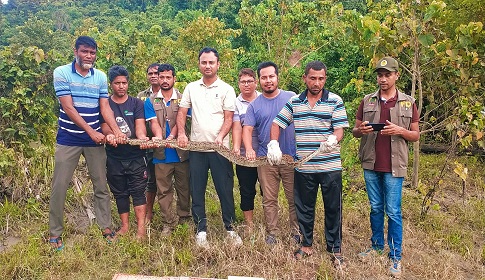কাপ্তাই জাতীয় উদ্যানে ৮ ফুট লম্বা অজগর সাপ অবমুক্ত