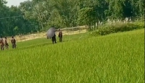 দিনাজপুর সীমান্তে বেড়া দিয়েছে বিএসএফ, কড়া প্রতিবাদ জানিয়েছে বিজিবি
