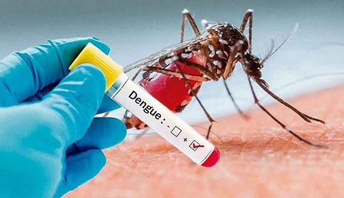 ডেঙ্গুতে আরও ২ জনের মৃত্যু, হাসপাতালে ৬৭৮ জন