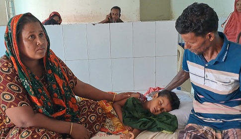 বাগেরহাটে কুকুরের কামড়ে দুইদিনে আক্রান্ত ১৪