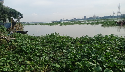 লাশ গুম করতে নদীকে ব্যবহার করছে অপরাধীরা
