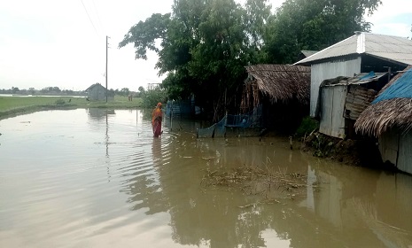 বাগেরহাটে কৈগর্দ্দাসকাটি গ্রামের ৪৫টি বাড়িঘর জোয়ারের পানিতে প্লাবিত 