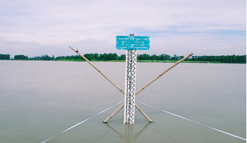 যমুনাসহ টাঙ্গাইলের সব নদীর পানিবৃদ্ধি, শঙ্কিত কৃষক 