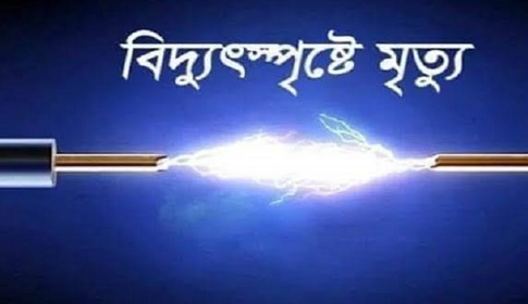 নড়াইলে বিদ্যুৎস্পৃষ্ট হয়ে ইলেকট্রিক মিস্ত্রির মৃত্যু