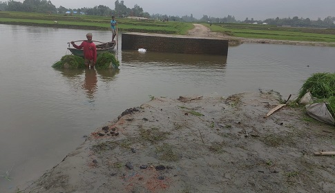 সোনাতলায় বর্ষায় রাস্তা ভেঙে খাদে পরিনত, ভরসা নৌকা