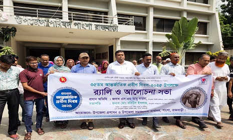আন্তর্জাতিক প্রবীণ দিবস উপলক্ষে র‍্যালী ও আলোচনা সভা