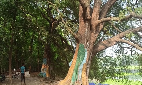 মাগুরার গঙ্গারামপুরের তেঁতুলতলার ঘাট প্রকৃতির অপরূপ মিলনস্থল