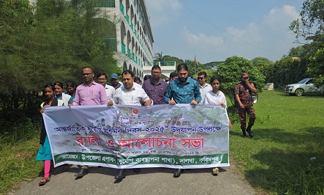 সালথায় আন্তর্জাতিক দুর্যোগ প্রশমন দিবস পালিত