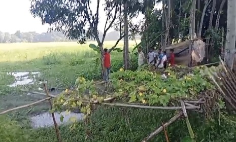 সালথায় যুবকের ঝুলন্ত মরদেহ উদ্ধার