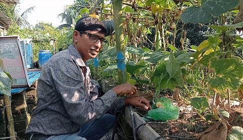 কৃষিবিদ ইবাদ আলীর ‘শেকড় প্রযুক্তি’তে ছাদ বাগানে বিপ্লব