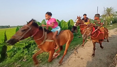 মাগুরায় ঘোড়দৌড় প্রতিযোগিতা ও গ্রামীণ মেলা