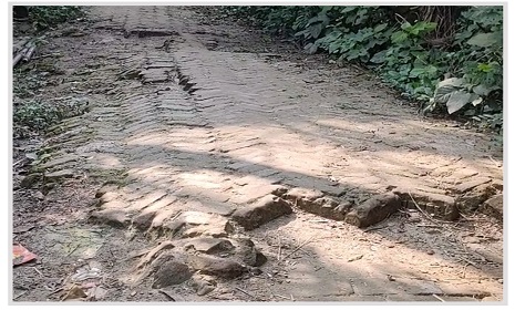 প্রায় ৪০ বছর ধরে বেহাল গ্রামীণ সড়ক, দুর্ভোগে হাজার হাজার মানুষ