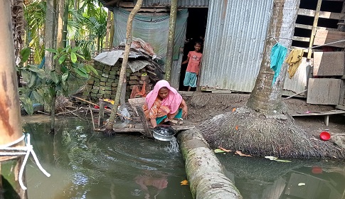 বাগেরগাটে পানিবন্দি দুই শতাধিক পরিবার
