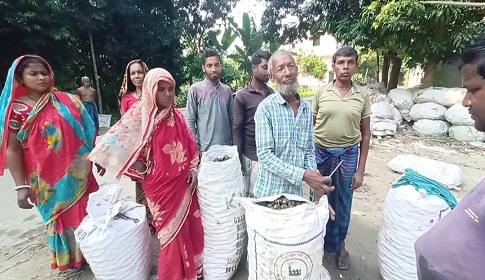 মহম্মদপুরে বিলের শামুক এখন জীবিকার উৎস