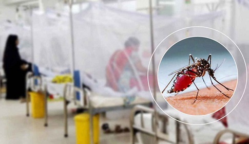 ডেঙ্গুতে একদিনে চারজনের মৃত্যু, হাসপাতালে ভর্তি ১১৪৩